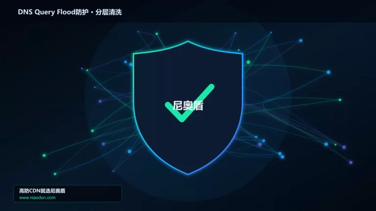 DNS Query Flood防护分层流量清洗架构图