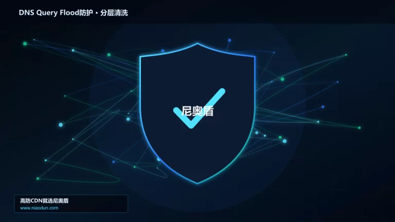 DNS Query Flood防护分层流量清洗架构图