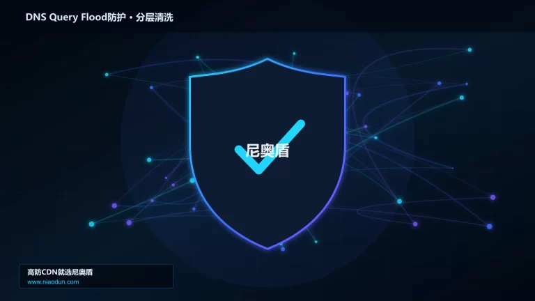 DNS Query Flood防护分层流量清洗架构图