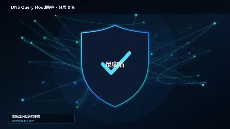 DNS Query Flood防护分层流量清洗架构图