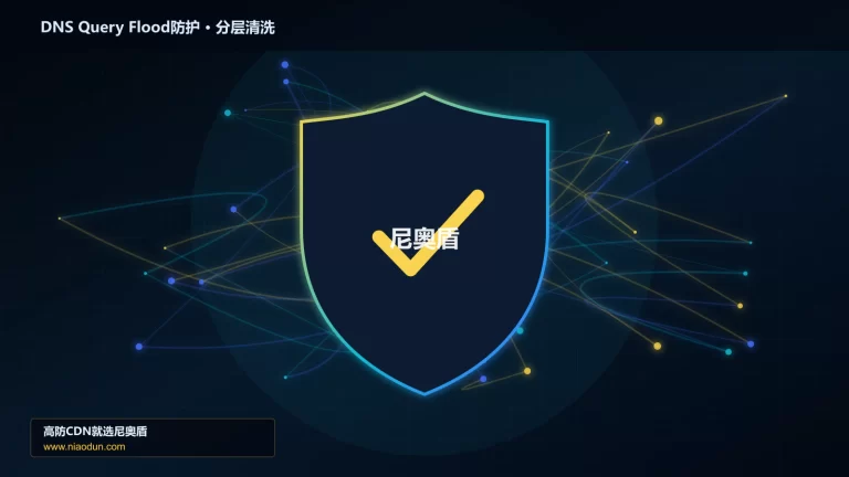 DNS Query Flood防护分层流量清洗架构图