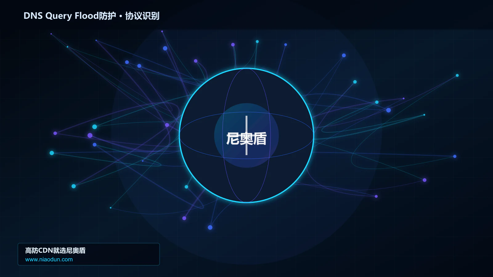DNS Query Flood防护协议识别与节点防护图