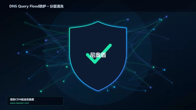 DNS Query Flood防护分层流量清洗架构图
