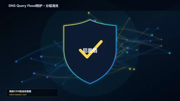 DNS Query Flood防护分层流量清洗架构图