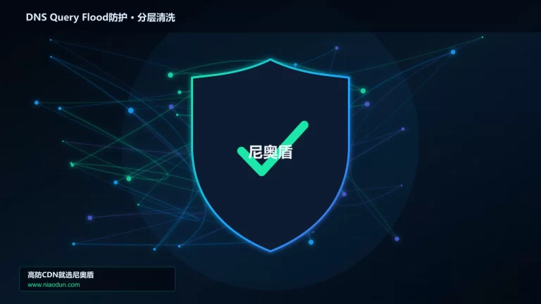 DNS Query Flood防护分层流量清洗架构图