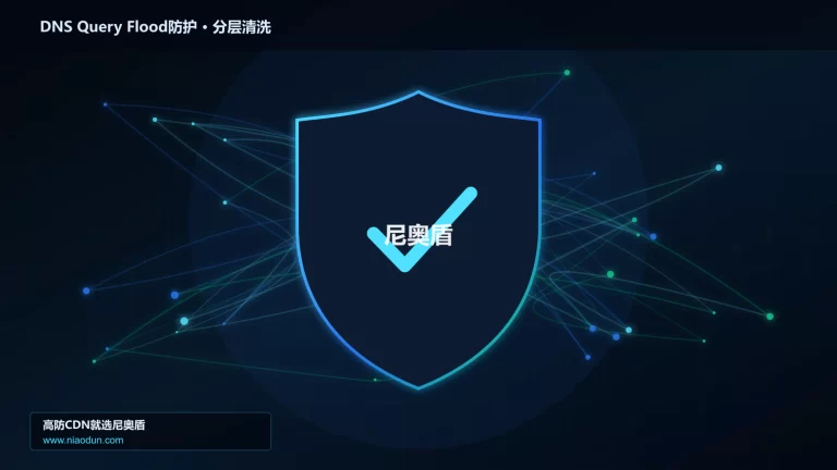 DNS Query Flood防护分层流量清洗架构图