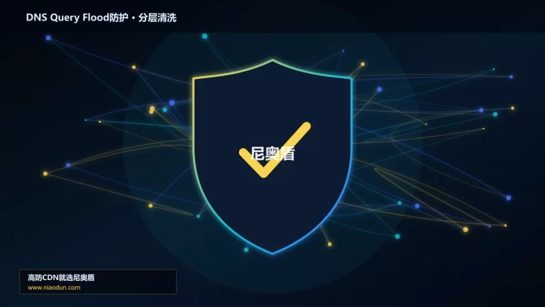DNS Query Flood防护分层流量清洗架构图