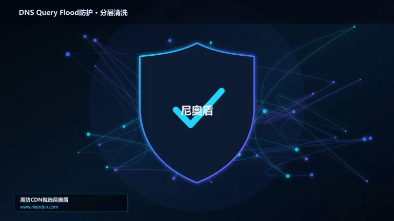 DNS Query Flood防护分层流量清洗架构图