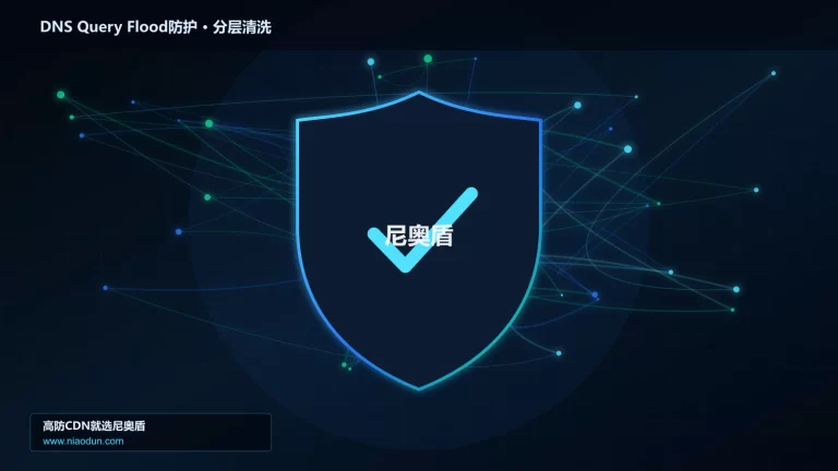 DNS Query Flood防护分层流量清洗架构图