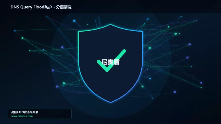 DNS Query Flood防护分层流量清洗架构图
