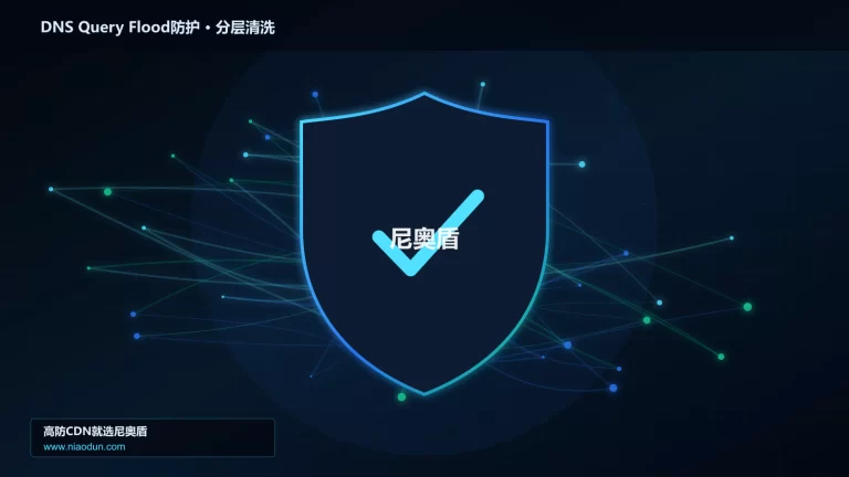 DNS Query Flood防护分层流量清洗架构图