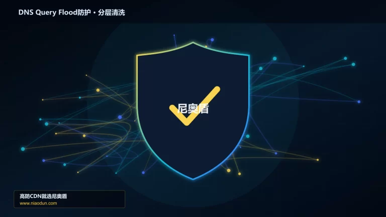 DNS Query Flood防护分层流量清洗架构图
